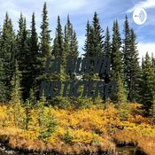 Podcast la nueva NOTICIERO