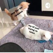 Podcast Late Nights In Quarantine