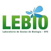 Podcast LEBIO UFC