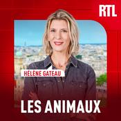 Podcast Les animaux