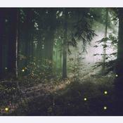 Podcast Luciérnagas