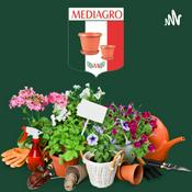Podcast MEDIAGRO JARDINAGEM