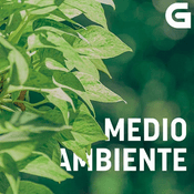 Podcast Todos os podcast | Medio ambiente