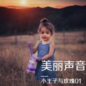 Podcast 美丽声音