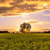 Podcast MENSAGENS DE DEUS PARA O SEU CORAÇÃO