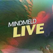 Podcast Mindmeld Live with Shell Protocol