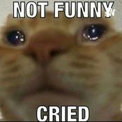 Podcast mushroom leather