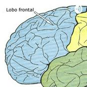 Podcast Neuro