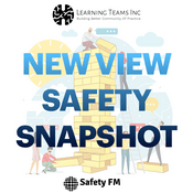 Podcast New View Safety Snapshot