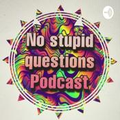 Podcast No stupid questions