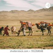 Podcast Nomadic living 101