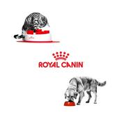 Podcast Nutri'Science