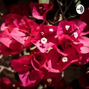 Podcast O Que É Ser Um Bom Professor?