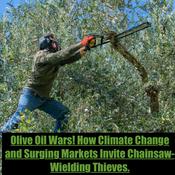 Podcast Olive Oil Wars! How Climate Change and Surging Markets Invite Chainsaw-Wielding Thieves.  Olive Oil