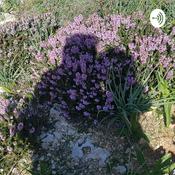 Podcast Oppdrag kjærlighet