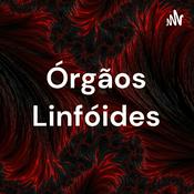 Podcast Órgãos Linfóides