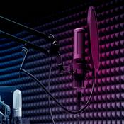 Podcast #ОсобистістьОлеся | Radio M
