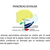Podcast Páncreas Dividido