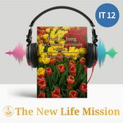 Podcast Paul C. Jong La Crescita Spirituale Serie 1 - Il Vangelo di Matteo (Ⅰ)
