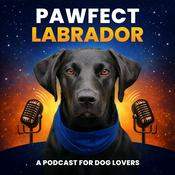 Podcast Pawfect Labrador