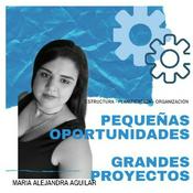 Podcast Pequeñas Oportunidades, Grandes Proyectos