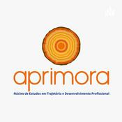 Podcast Percepção de trabalhadores acerca de inibidores e propulsores do desenvolvimento profissional