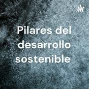 Podcast Pilares del desarrollo sostenible