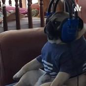 Podcast Pobre Cast