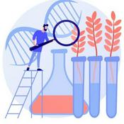 Podcast Organismos Geneticamente Modificados