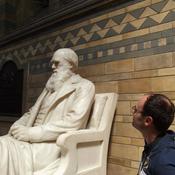 Podcast Podcast #2 Gorduras Saturadas, Insaturadas e Trans....entenda o que são!