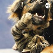 Podcast Podcast Agrosolo