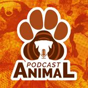 Podcast Podcast Animal