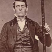 Podcast Podcast - Neurociência