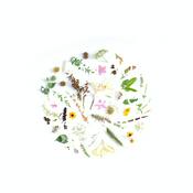 Podcast Por Una Buena Higiene De La Postura!!