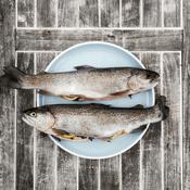 Podcast Postas de Pescada