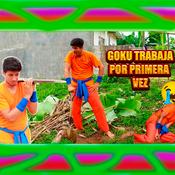 Podcast Dragon Balls Series