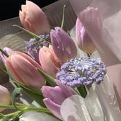 Podcast Trabalhos Escolares