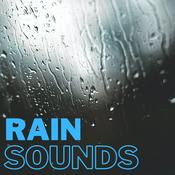 Podcast Rain Sounds