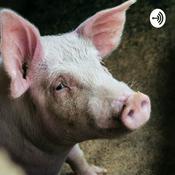 Podcast ReidGetsReal Ep 13 Lord Of The Flies