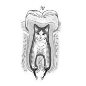 Podcast RIESGOS Y CUIDADOS EN LA ATENCIÓN ODONTOLOGICA A PACIENTES CON ENFERMEDADES INFECTOCONTAGIOSAS