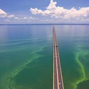 Podcast Salud Y Ambiente