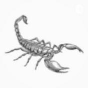 Podcast Scorpion Podcast
