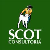Scot Consultoria