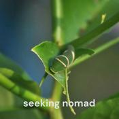 Podcast Seeking Nomad - life and its reflection. I just raise questions. You go within to find the answers.