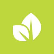 Podcast Sermons – LifePoint Church