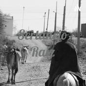 Podcast Sertanejo Raiz