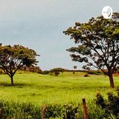 Podcast Sessões de Fim de Tarde