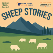 Podcast Sheep Stories