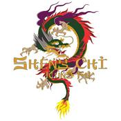 Podcast Sheng Chi Martial Arts Podcast
