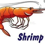 Podcast Shrimp see saw